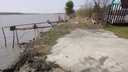 Сотня дач под Новосибирском вот-вот упадет в Обь — берег разрушается 7 лет под присмотром властей