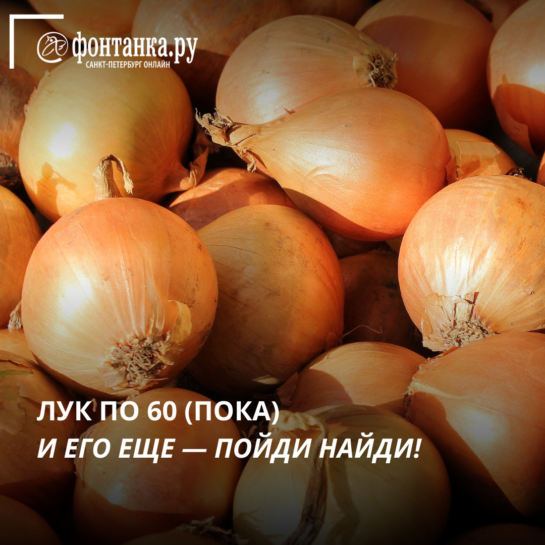 Лук будет? Что происходит с ценами на популярную овощную культуру Петербурге