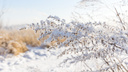 За неделю трое жителей Красноярского края умерли от обморожения. Как его распознать?