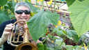 Две страсти — растения и музыка: как агроном из Поморья стал играть на саксофоне для овощей