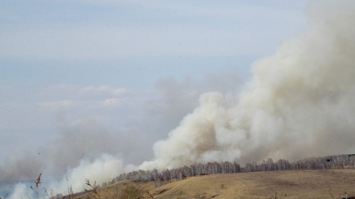 Огонь перекинулся с сухой травы на лес в Кузбассе. Тушение продолжается
