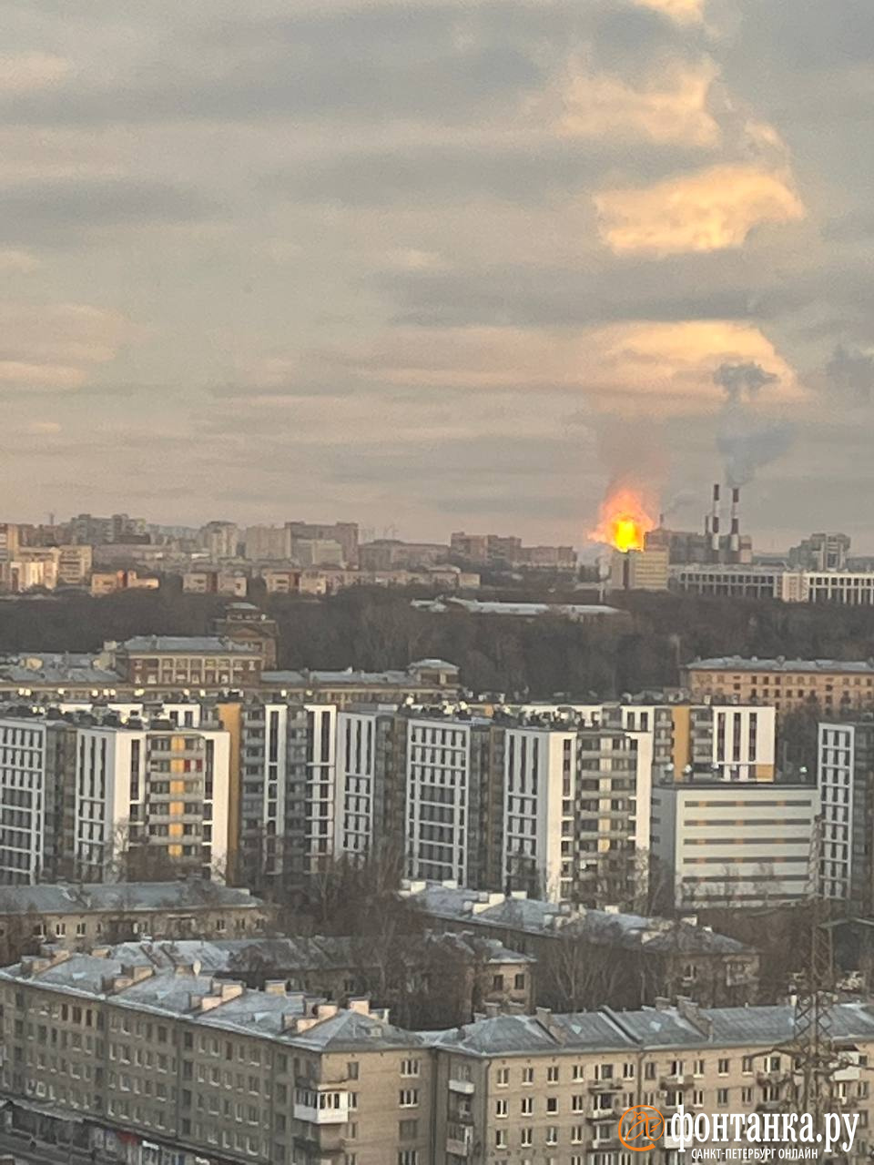 В районе Мурино огромный пожар: фото и видео - 19 ноября 2022 - ФОНТАНКА.ру