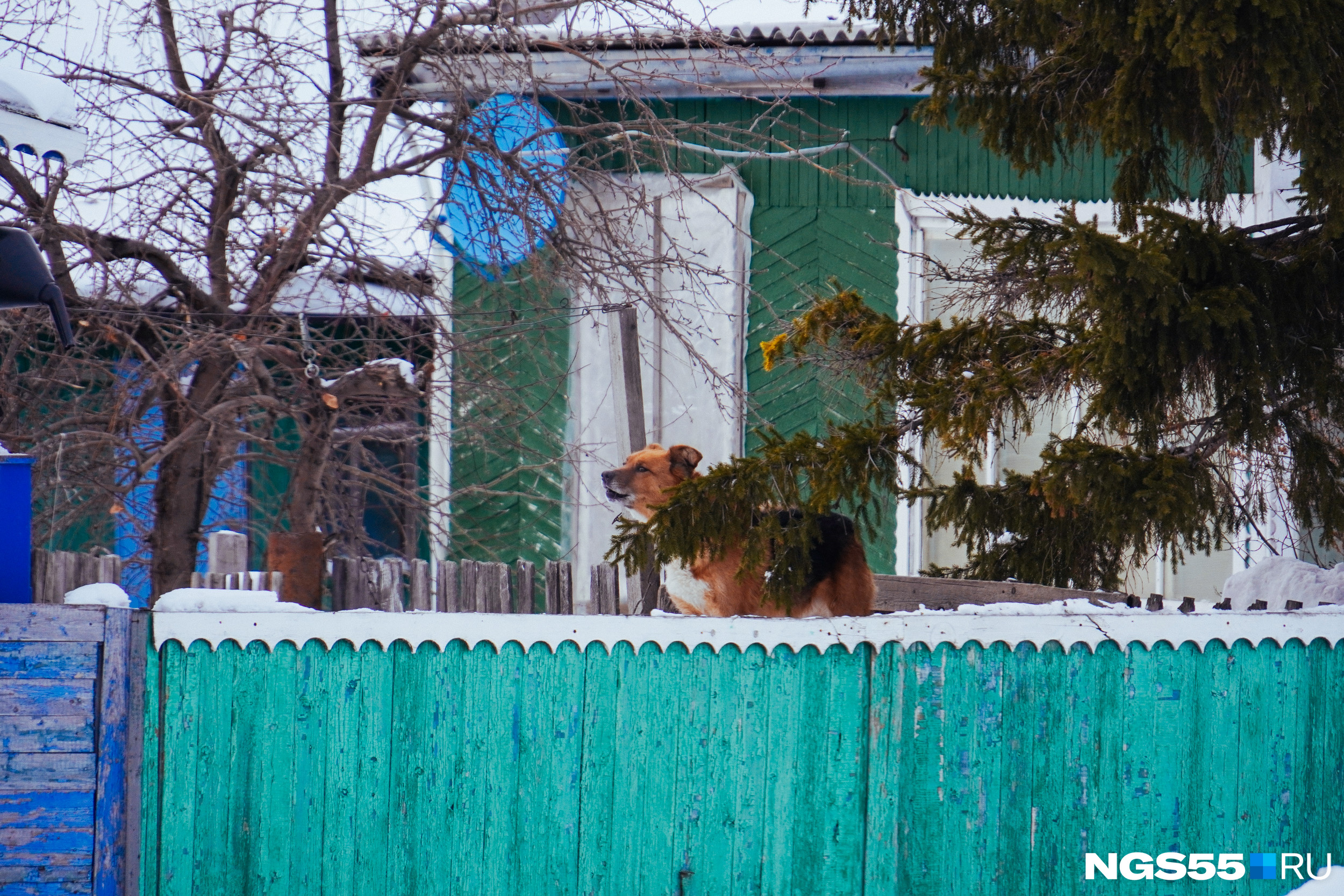 Жизнь в деревне продолжается Жизнь в деревне продолжается