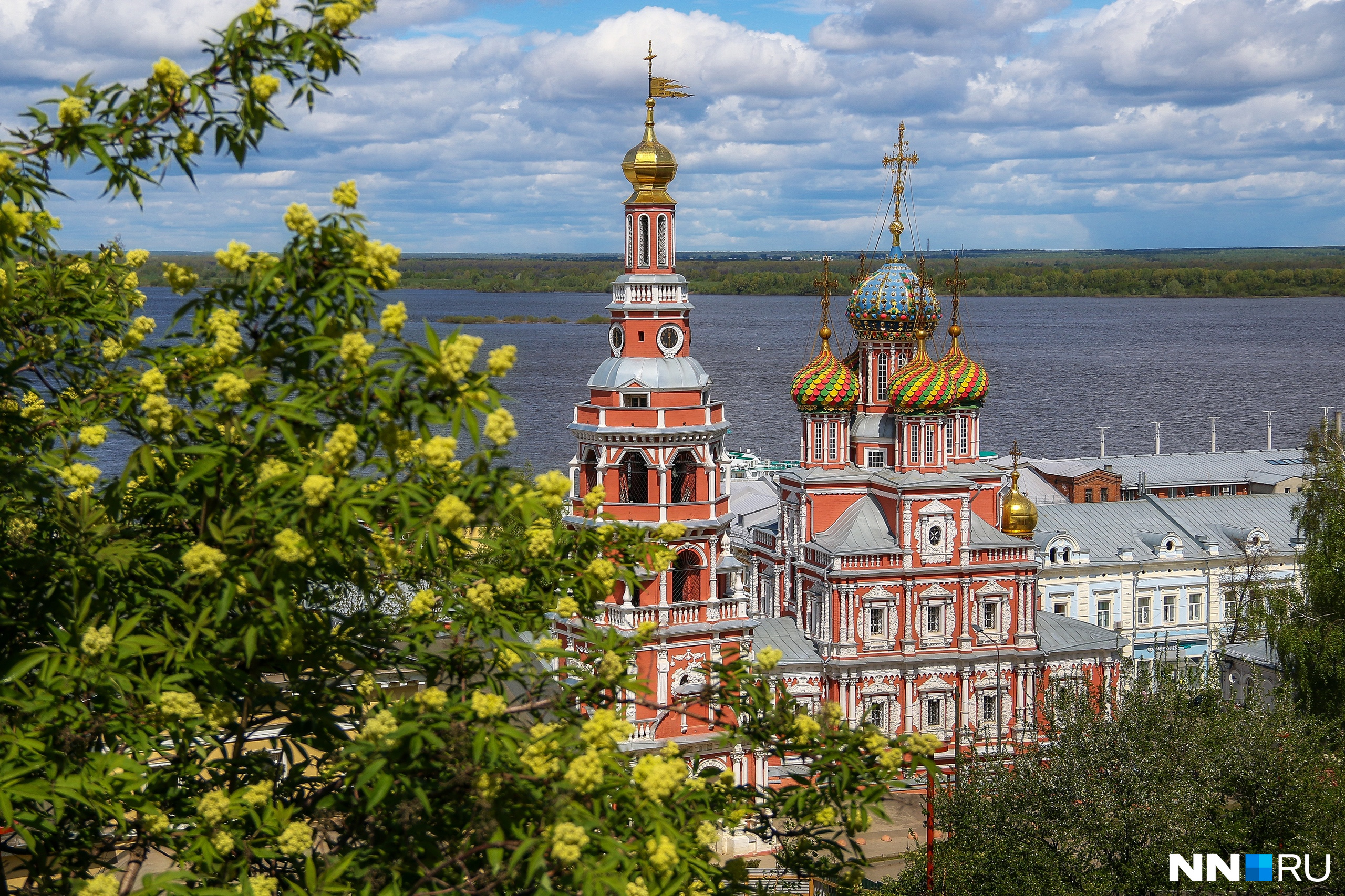 Новгород цветочная. Растения Нижнего Новгорода. Нижний Новгород Весна 2020. Природа Нижнего Новгорода цветочный комбинат.