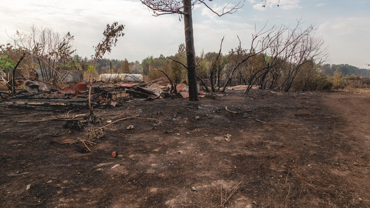 Около десятка построек сгорели в Кузбассе из-за поджога сухой травы