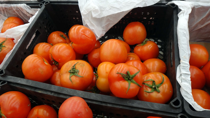 8 нескучных способов расправиться с помидорами