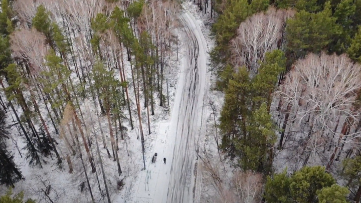 Мощные сосны, пустые дорожки и одинокие люди: летаем над заснеженным Шарташским лесопарком