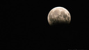 Жители России 8 ноября увидят полное лунное затмение. Будет ли оно эффектным в Архангельске?