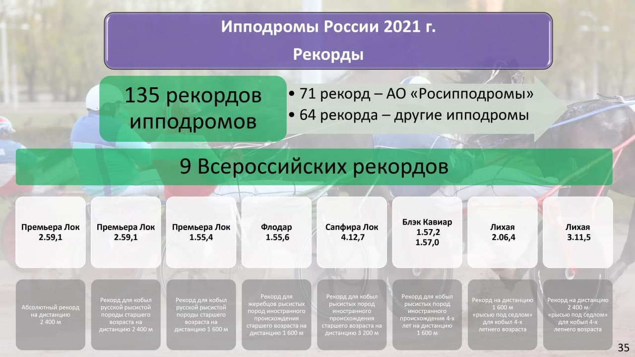 Таблица об итогах года была показана на конференции «Росипподромов». Последние две клетки — кобыла Лихая из Красноярска