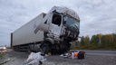 «Ущерб более 8 миллионов»: транспортная компания ищет свидетелей ДТП с двумя грузовиками в НСО