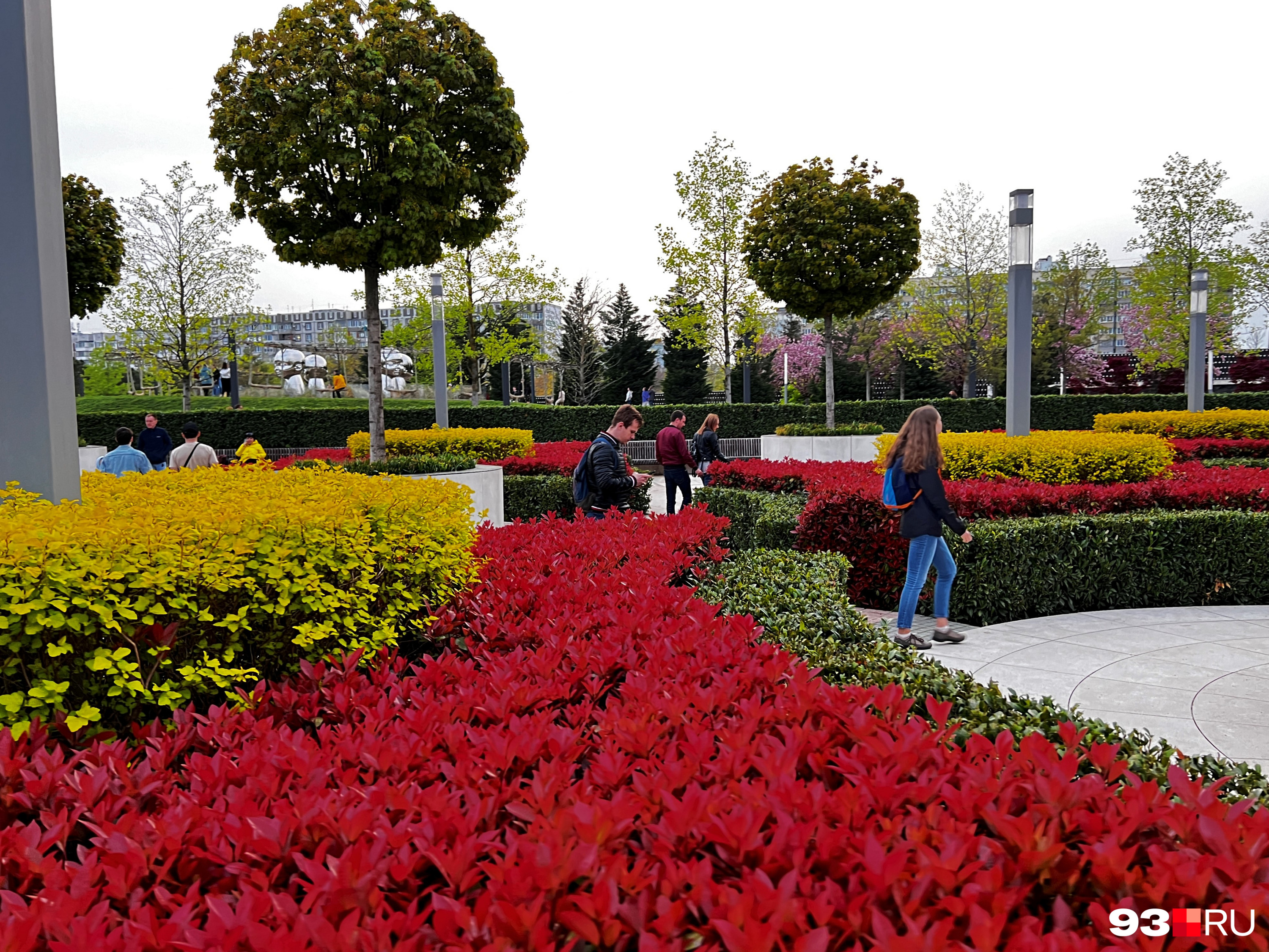 Парк галицкого в краснодаре цветение