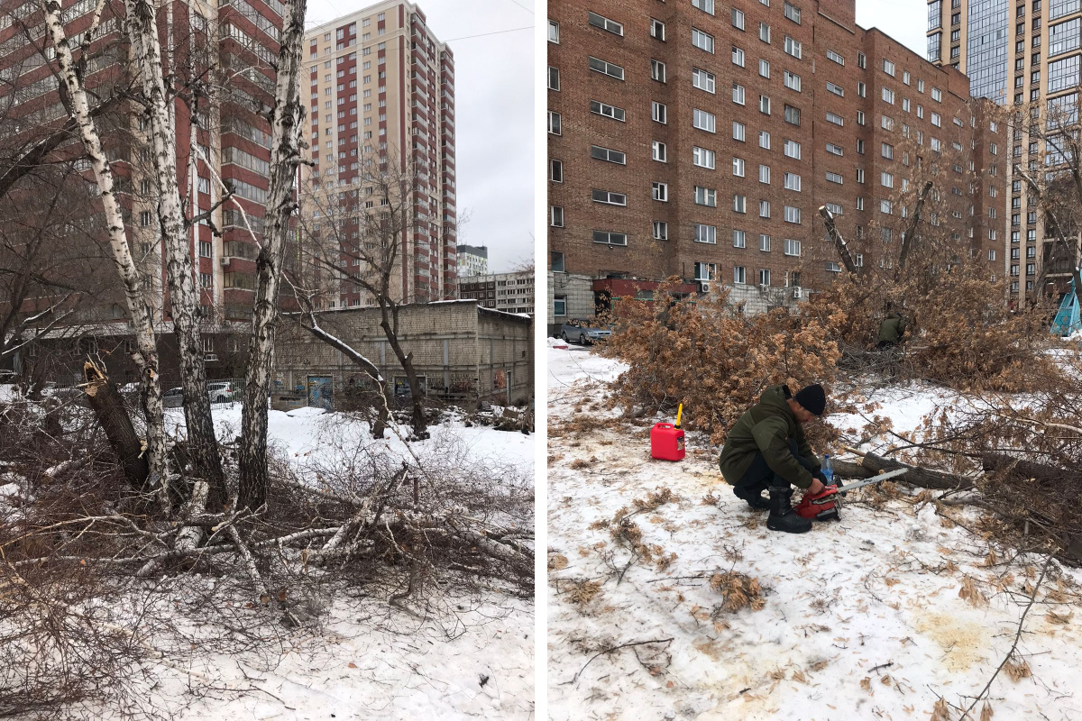 Стройте планы а дом построить дерево