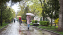 Жара и грозы: прогноз погоды в Ростове на неделю