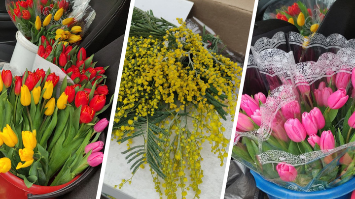 Тюльпаны — по 120, багульник — 250: смотрим, за сколько продают цветы в преддверии 8 Марта на улицах Красноярска