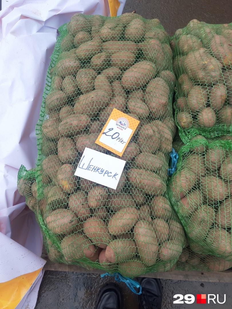 Шенкурская картошка дешевле — по 20 рублей за один килограмм