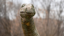 Ростовские ученые придумали, как клонировать динозавров