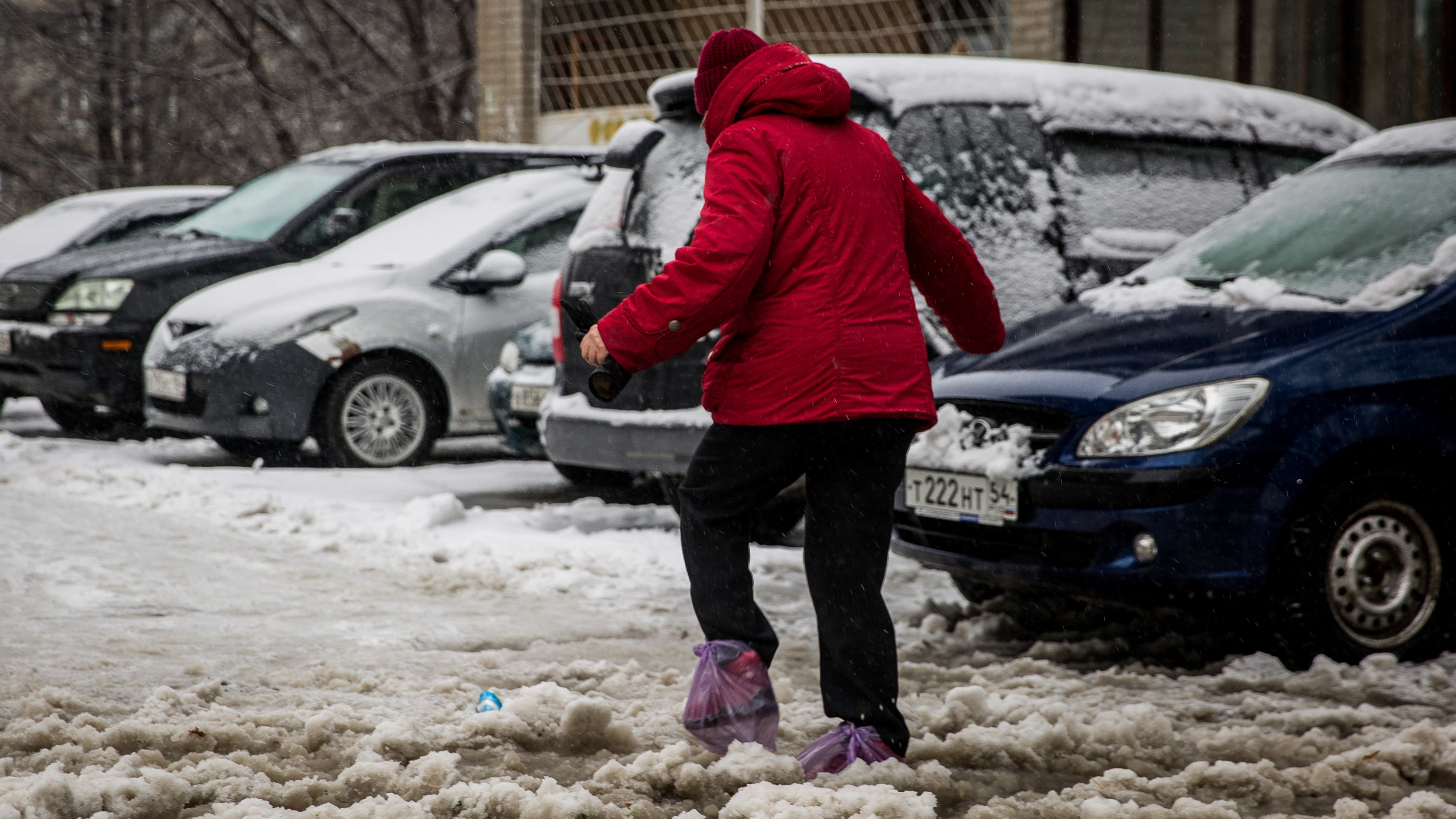 Снегопады и потепление до -2 градусов: когда морозы закончатся в Новосибирске — прогноз на рабочую неделю