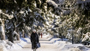 Тепло и снег: какая погода будет в Новосибирске в новогоднюю ночь — прогноз