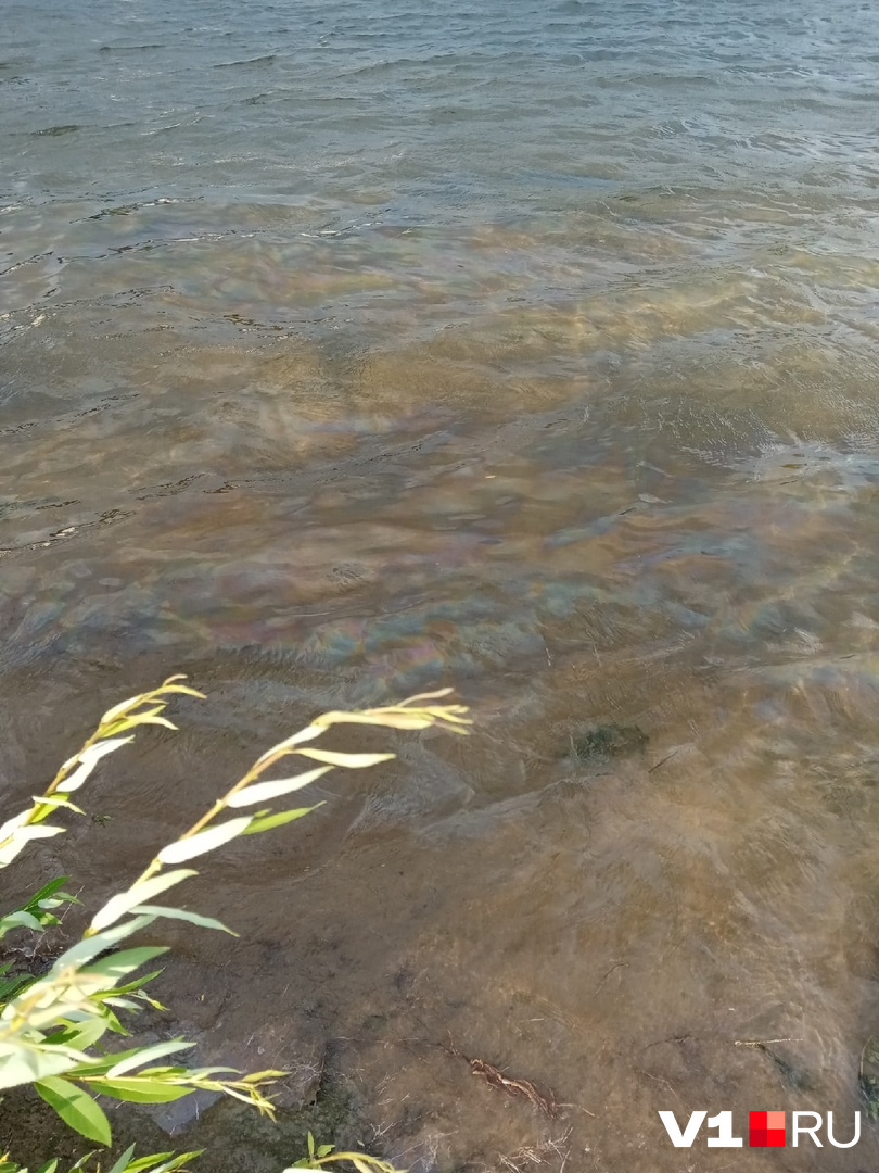 Радужная пленка очень хорошо видна на поверхности воды Радужная пленка очень хорошо видна на поверхности воды
