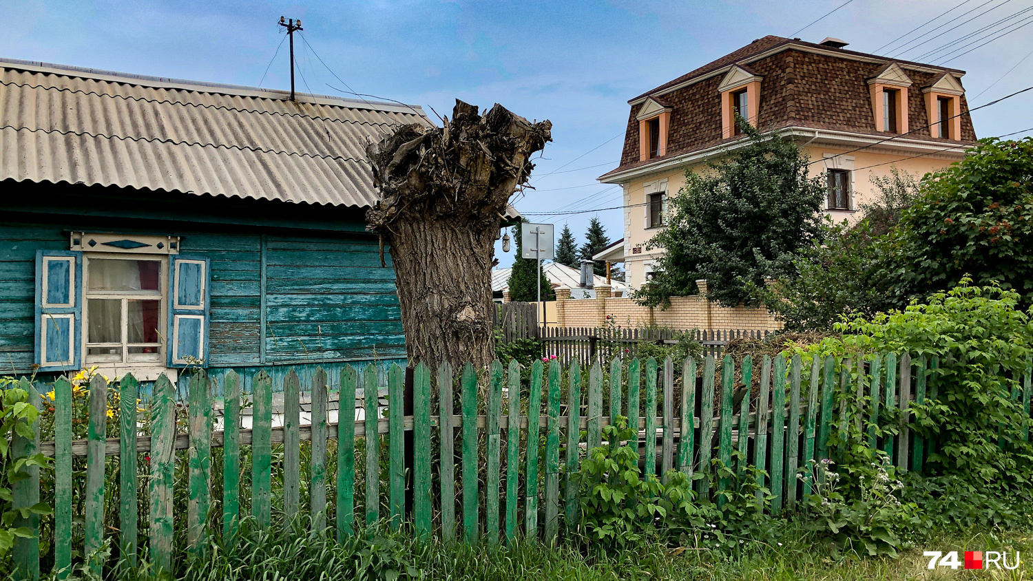 Микромиры в гуще городов — это всегда история контрастов Микромиры в гуще городов — это всегда история контрастов