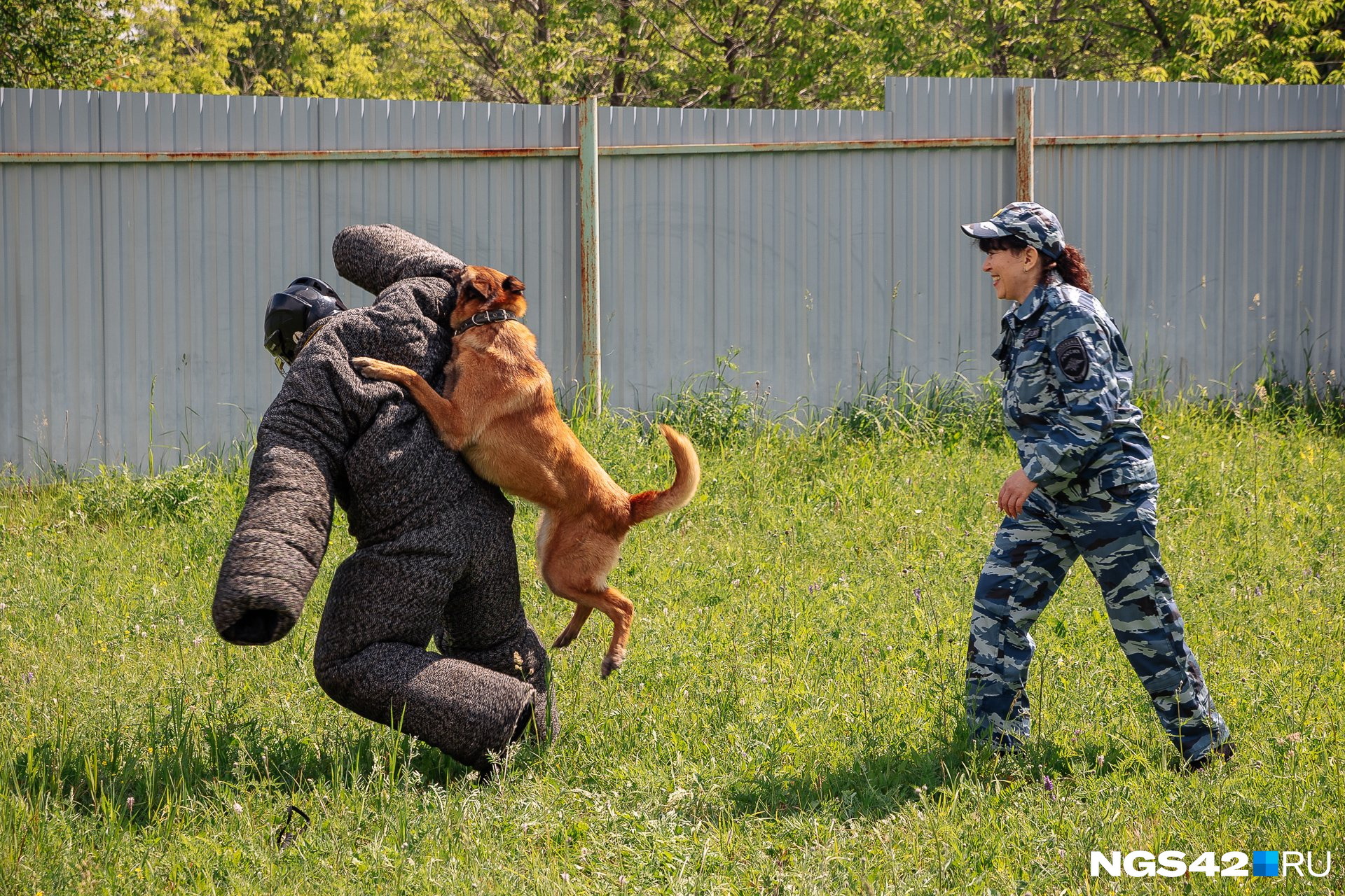 Цара на тренировке Цара на тренировке