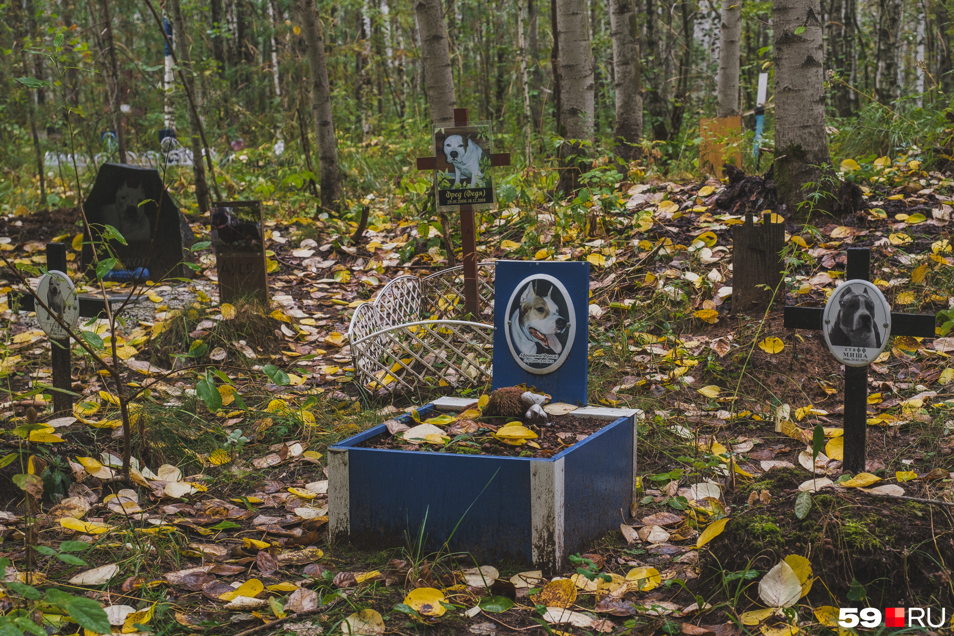 северное кладбище пермь захоронение 222. кладбище домашних животных иркутск. кладбище животных пермь. кладбище животных пермь. кладбище животных пермь.