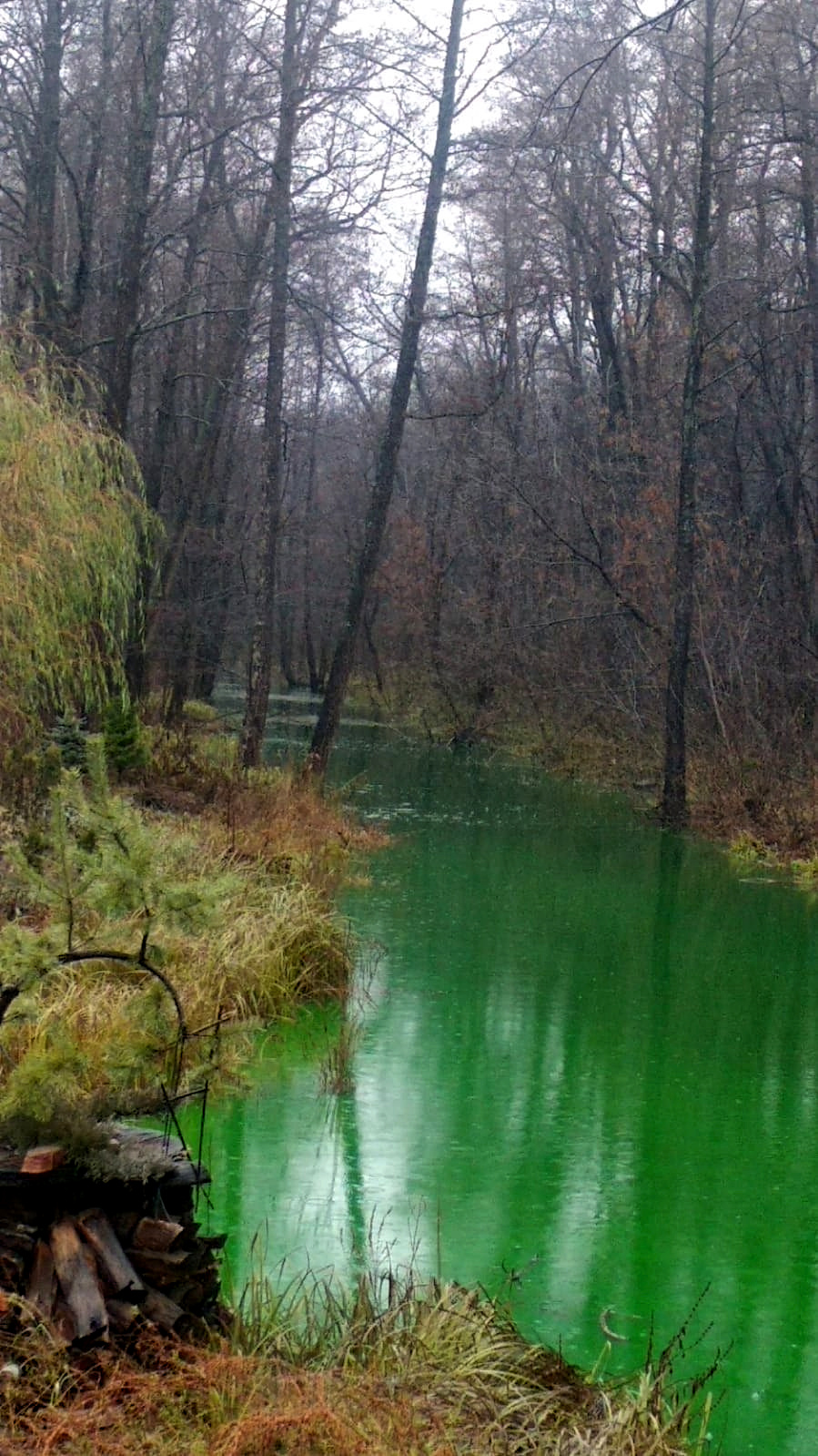 По заявлению Минэкологии РБ, вода изменила цвет на небольшом участке