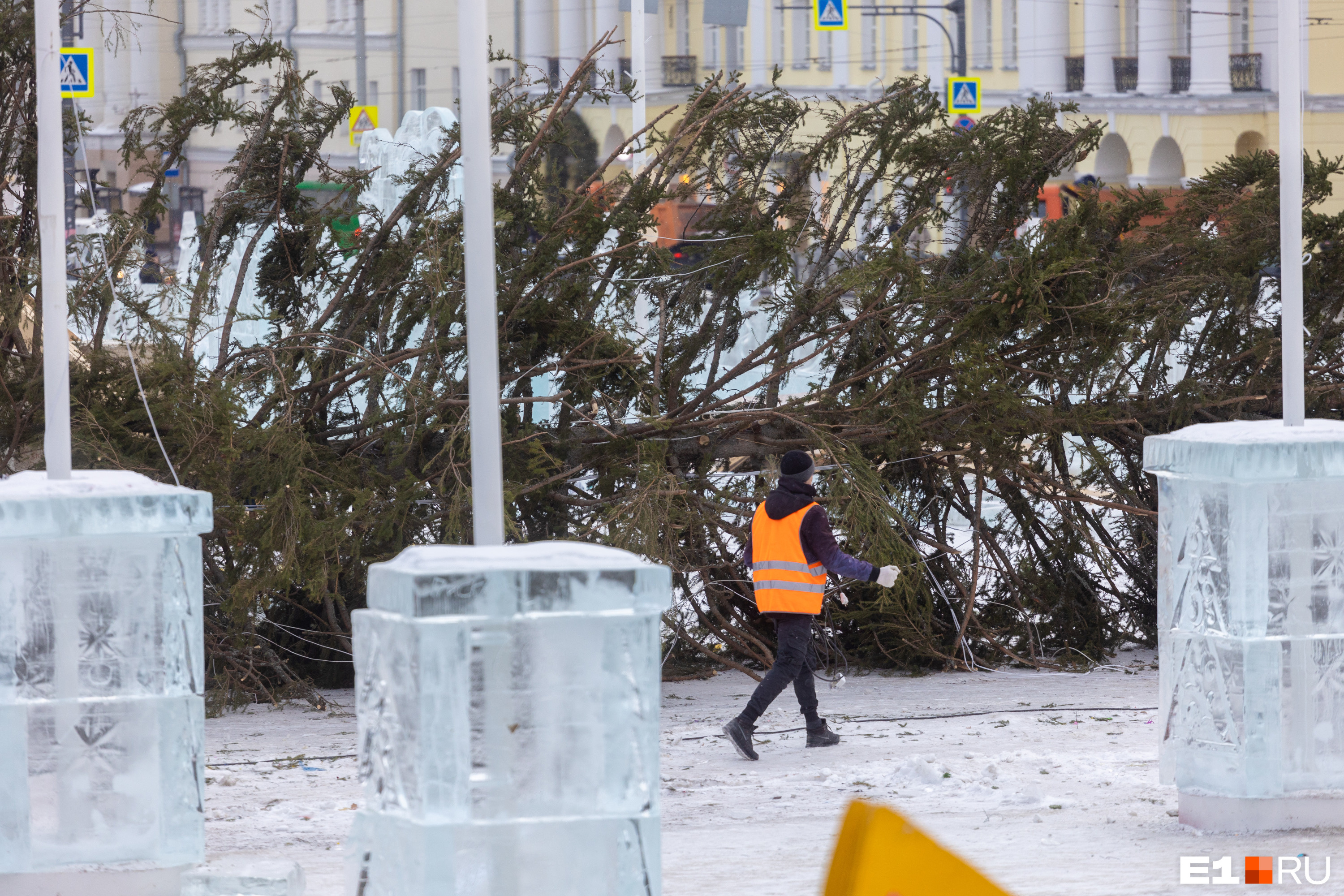В этом году у города впервые за несколько лет была живая ель В этом году у города впервые за несколько лет была живая ель