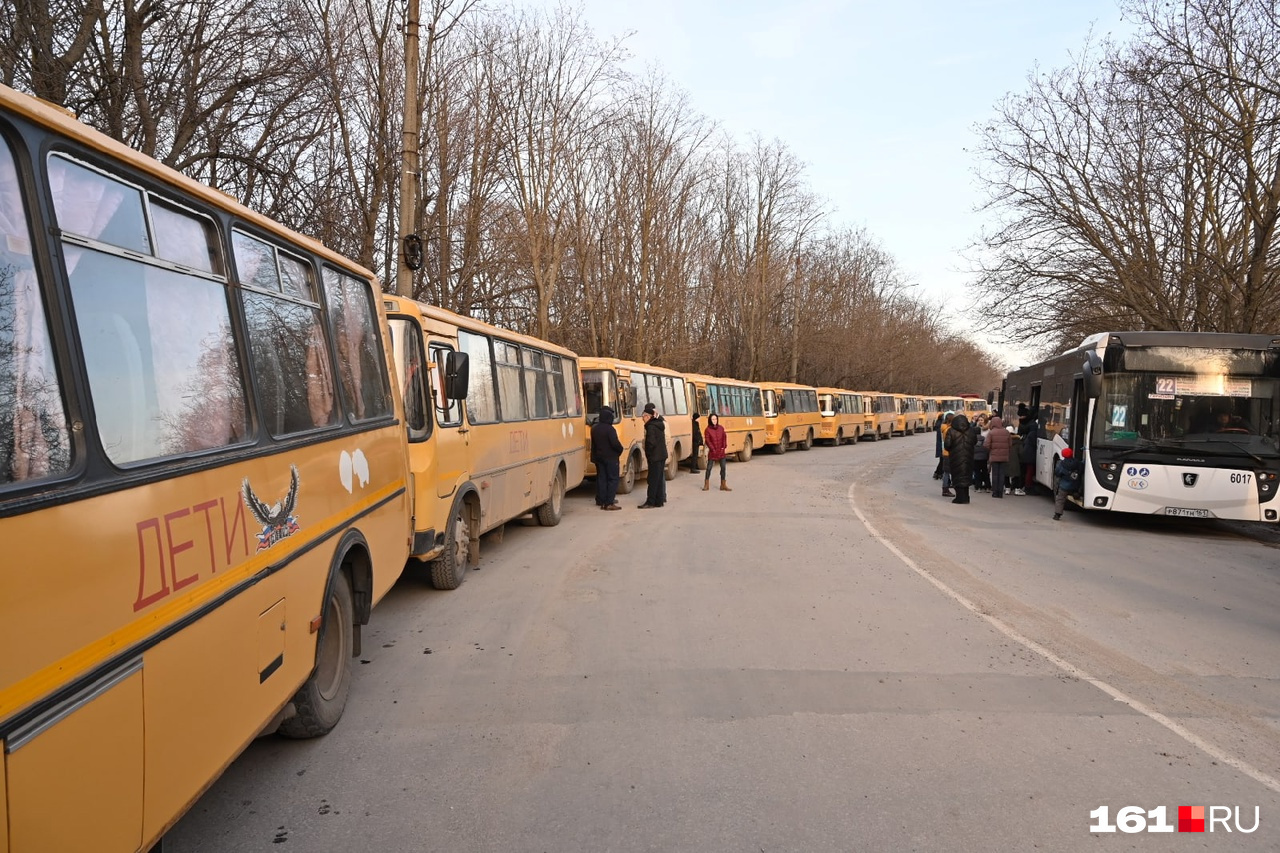 Множество автобусов пристроились у обочины