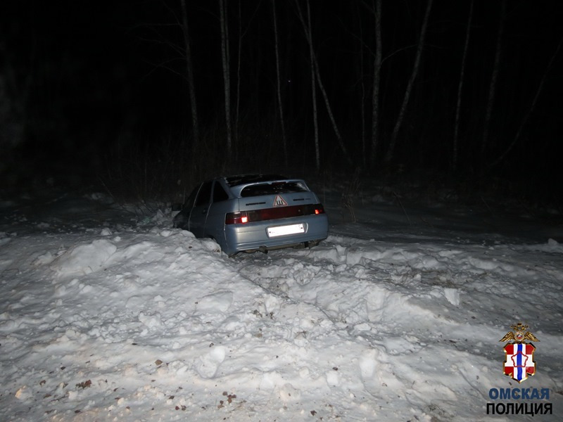 В поисках похищенной машины полицейские спасли угонщиков. Те чуть не замерзли насмерть в лесу под Омском