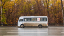Подорожает с 14 ноября: в Самаре автобусные перевозчики начали показывать новые ценники на проезд