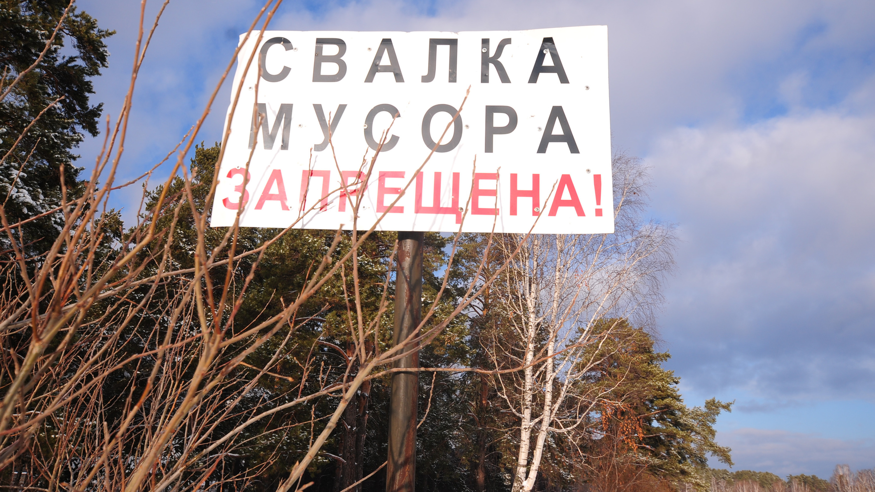 Станислав Носков обещал, что свалку биологических отходов в Белозерском округе ликвидируют до 2 февраля