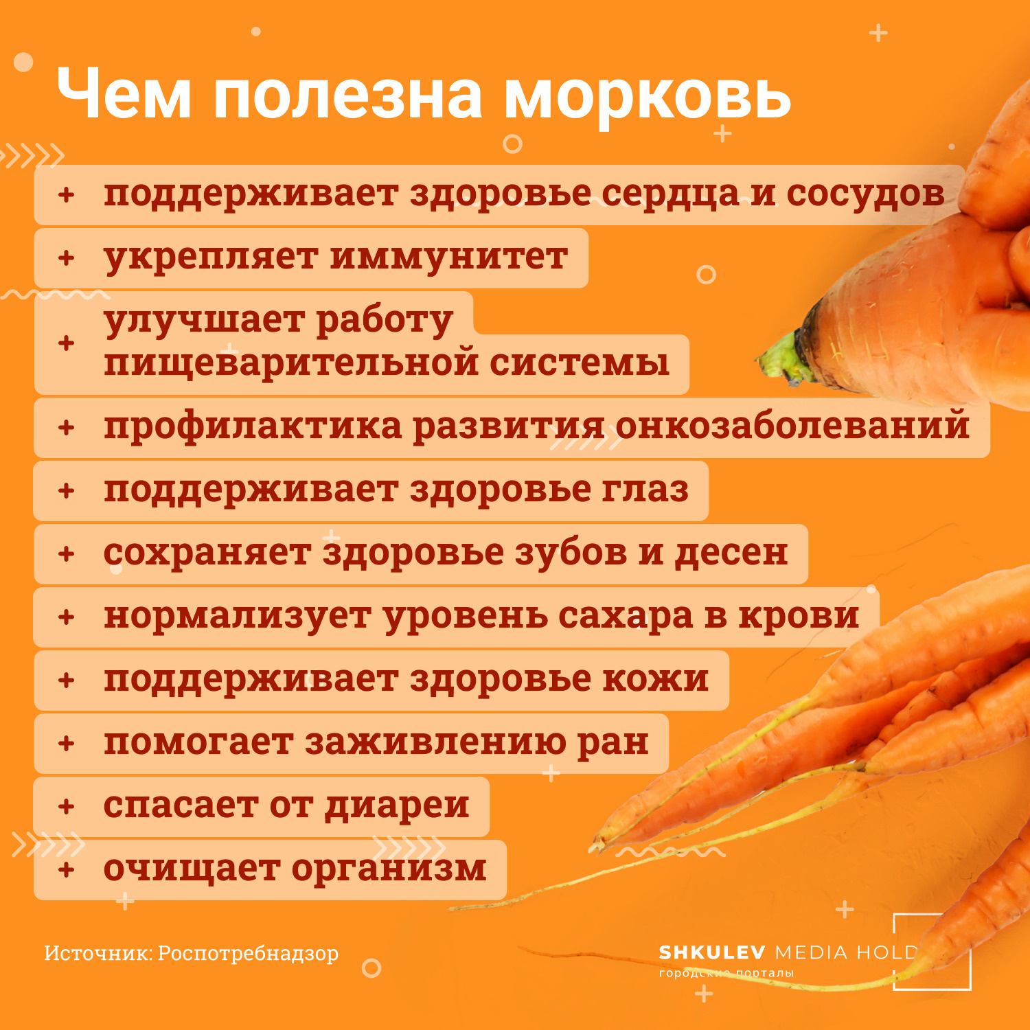 Морковь оказалась удивительно богата на полезные свойства