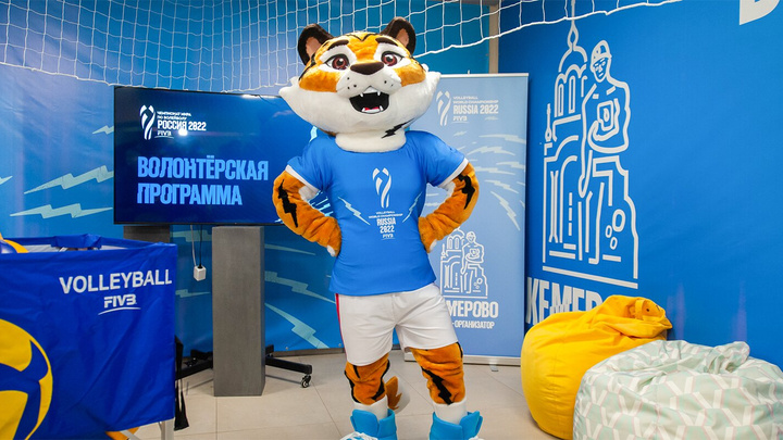 Чемпионат мира по волейболу могут отменить в Кемерове по просьбе Украины