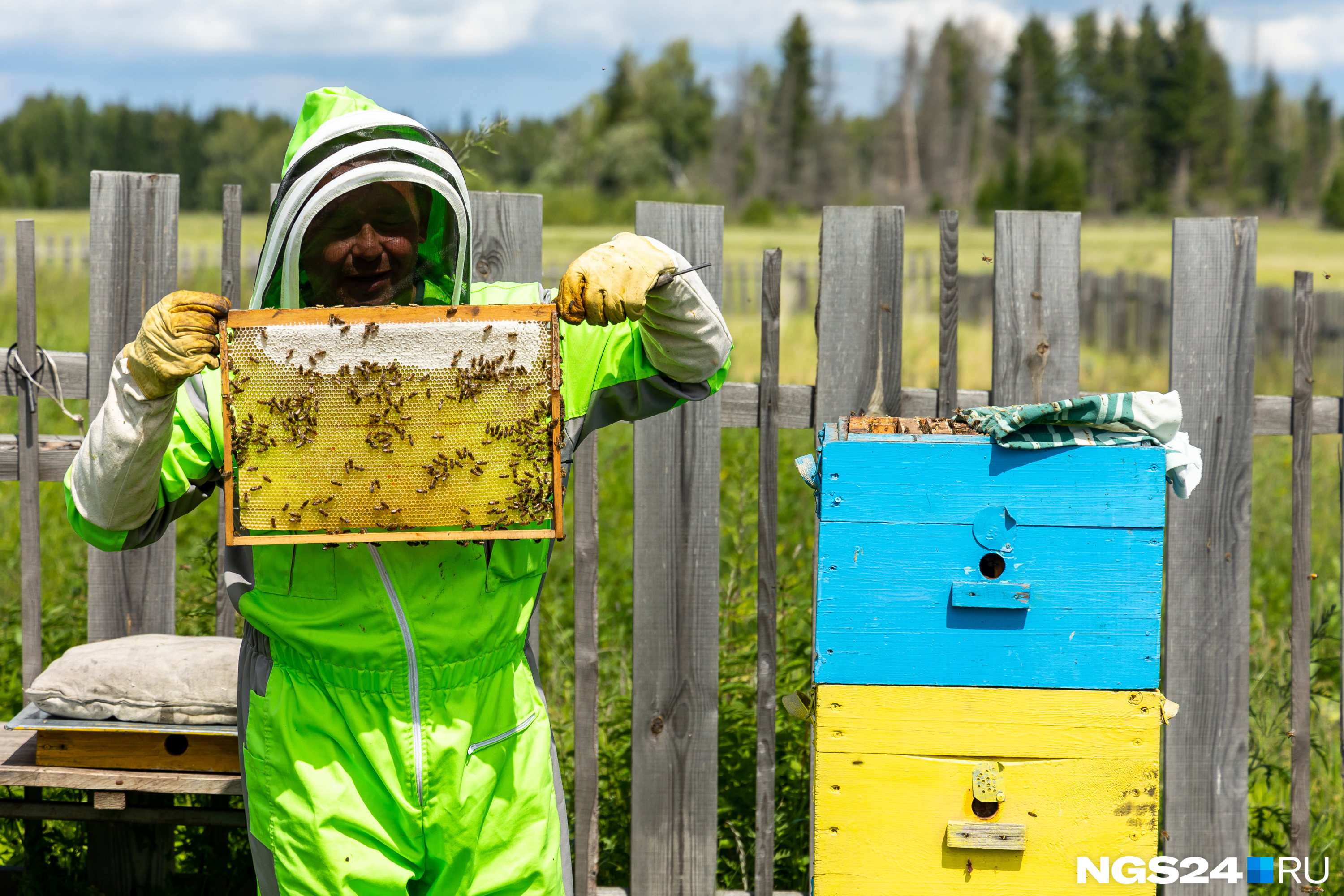 Николай — начинающий пчеловод