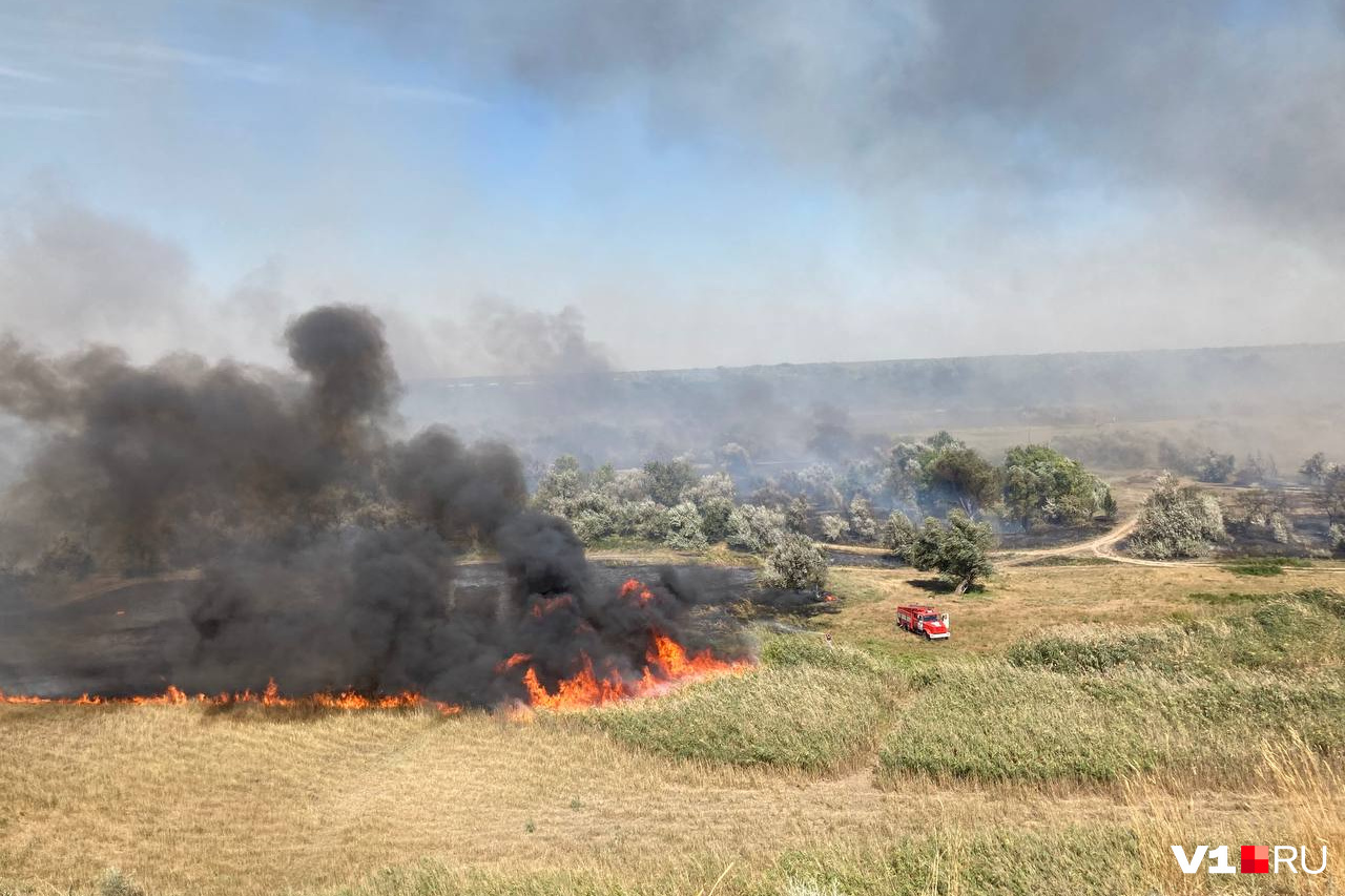 28 август 2021. Пожар в поле. Лесной пожар фото. Поле пожар Волгоградской области.