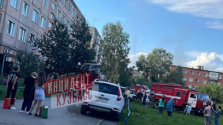 Домашние животные погибли на пожаре в центре Кемерова