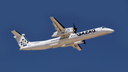 Казахстанская авиакомпания Qazaq Air возобновляет рейсы в Новосибирск