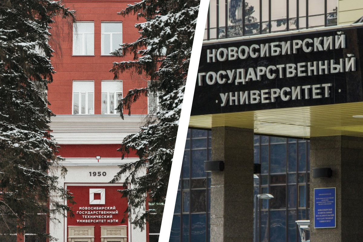 Институты новосибирска после 11. Институты Новосибирска. Новосибирские университеты и институты. Бесплатный университет в Новосибирске. Проект учебные заведения Новосибирск.