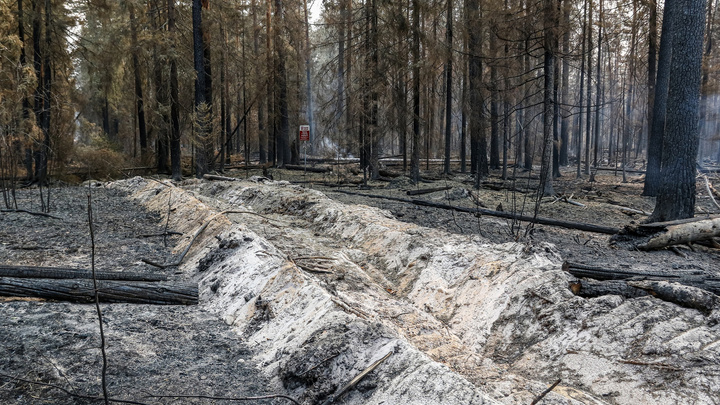 Крупный лесной пожар в Воротынском районе ликвидирован. Его тушили больше двух недель