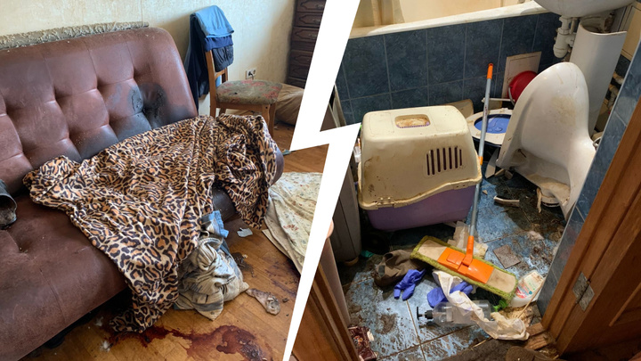 Животные ели трупы хозяев: в квартире с кучей кошек и собак в Екатеринбурге загадочно умерли супруги