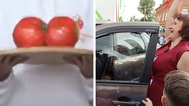 «Главное — грунт»: победительница конкурса «Минусинский помидор» рассказала, как вырастила томат весом почти 2 кг