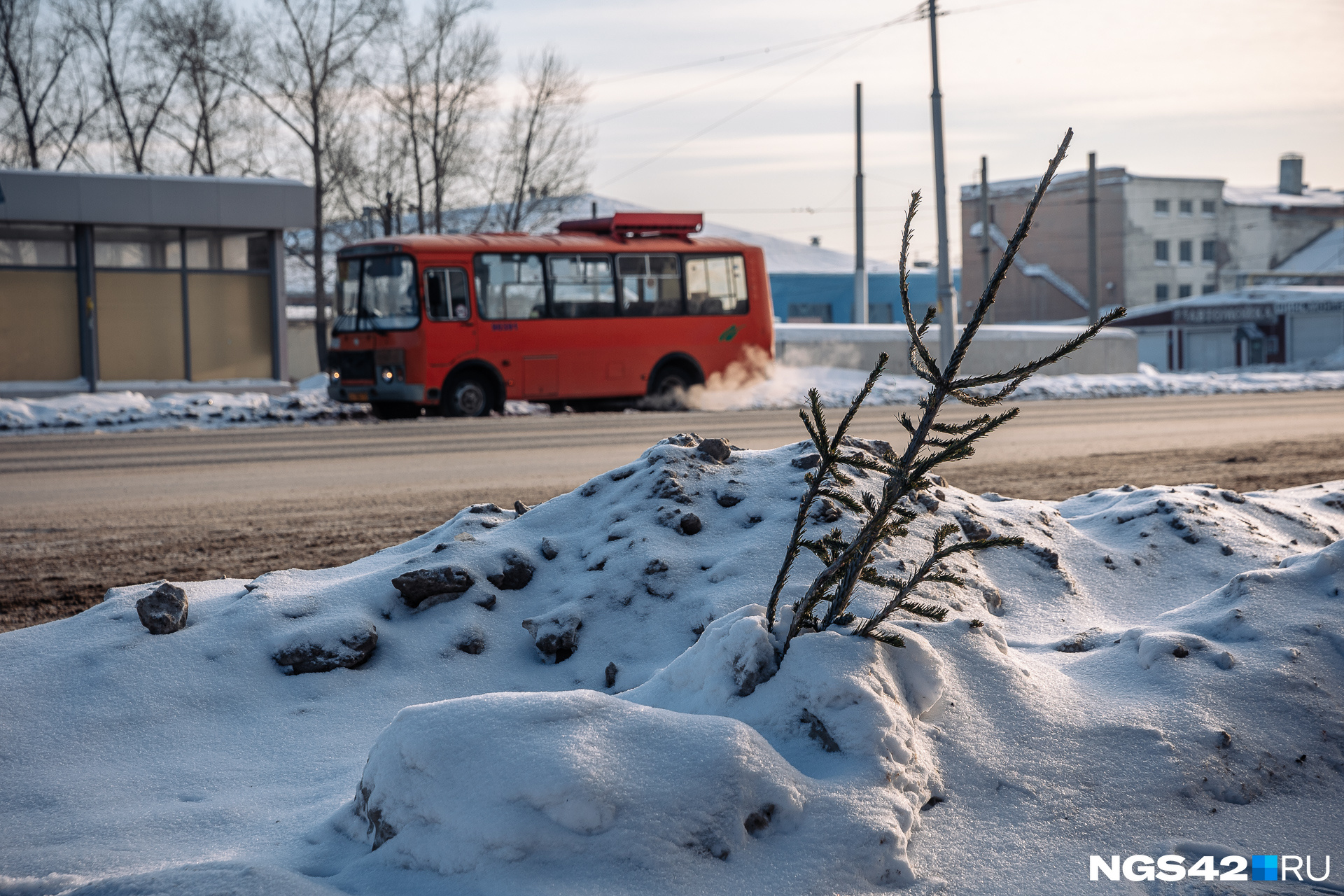 Власти разберутся с водителем автобуса, не пускавшего в мороз пассажиров в Кузбассе