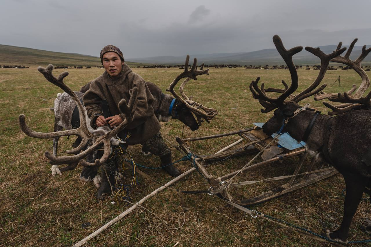 «Жить по-своему»: на экскурсию по пастбищам оленей и жизни кочевников-оленеводов теперь можно отправиться онлайн