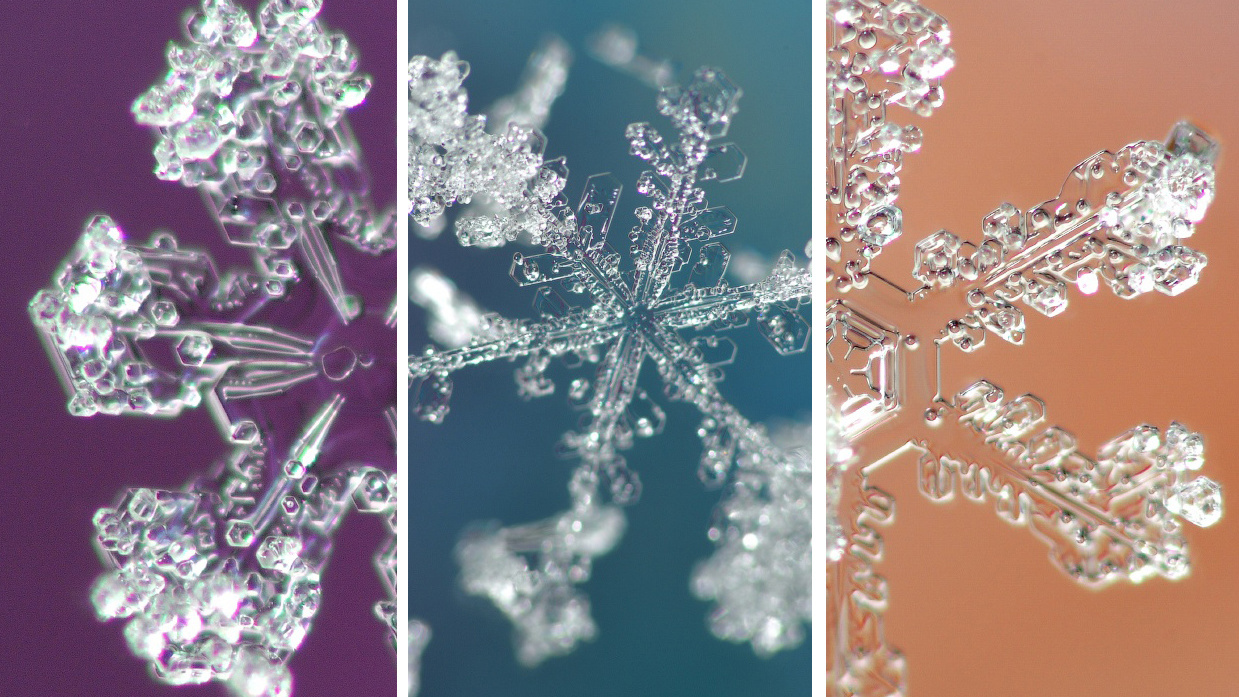 Чем теплее на улице, тем они красивее: фотограф из Углича сделал супермакросъемку со снежинками