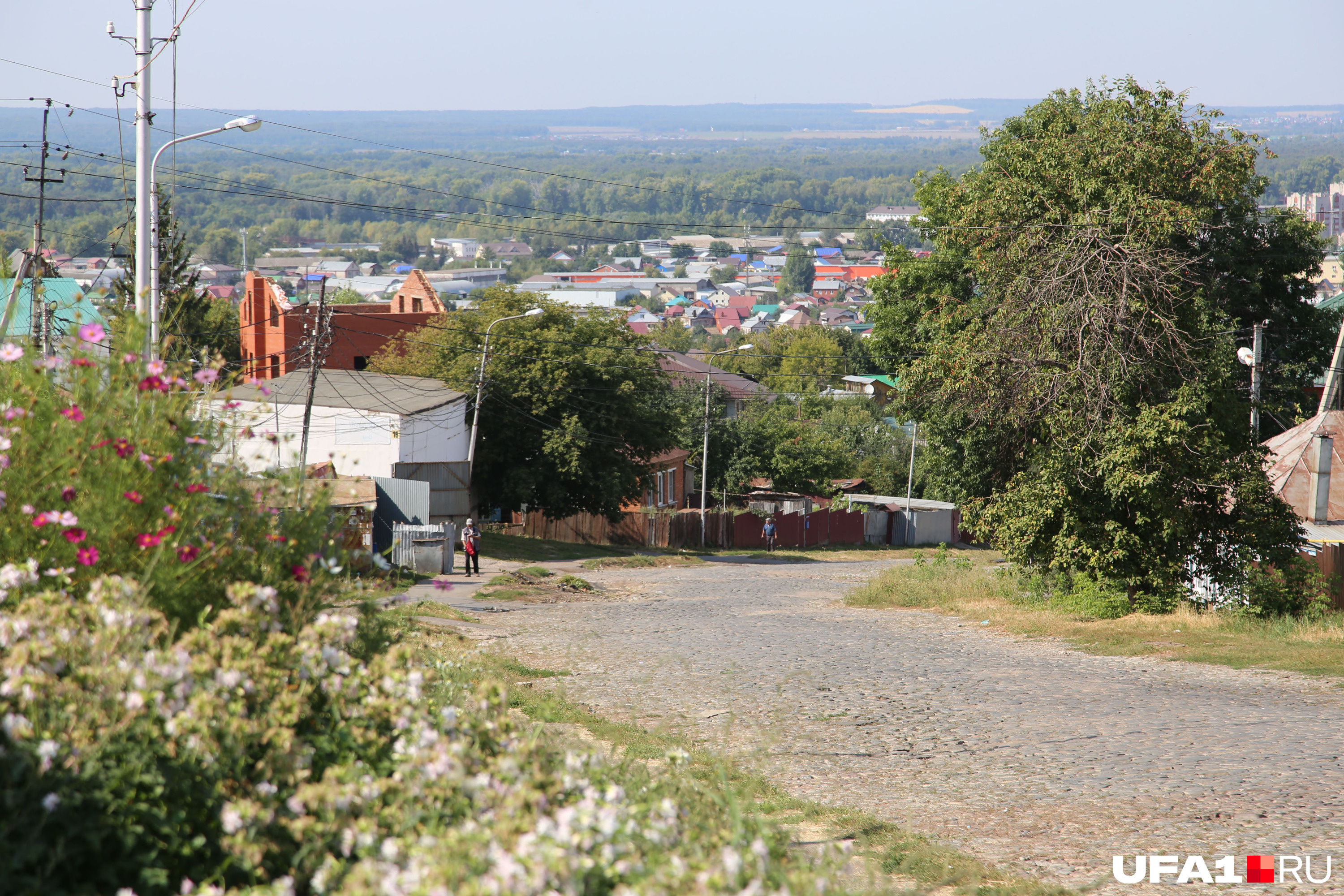 Уфа сливы телеграмм фото 43