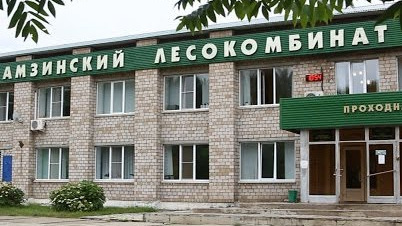 Не спасли: имущество лесокомбината-банкрота из Башкирии распродают за бесценок