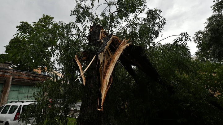 «Не паркуйтесь у деревьев»: в МЧС предупредили москвичей о приближении нового шторма