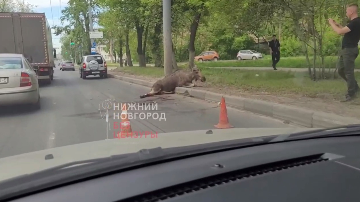 Нижний новгород без цензуры группа