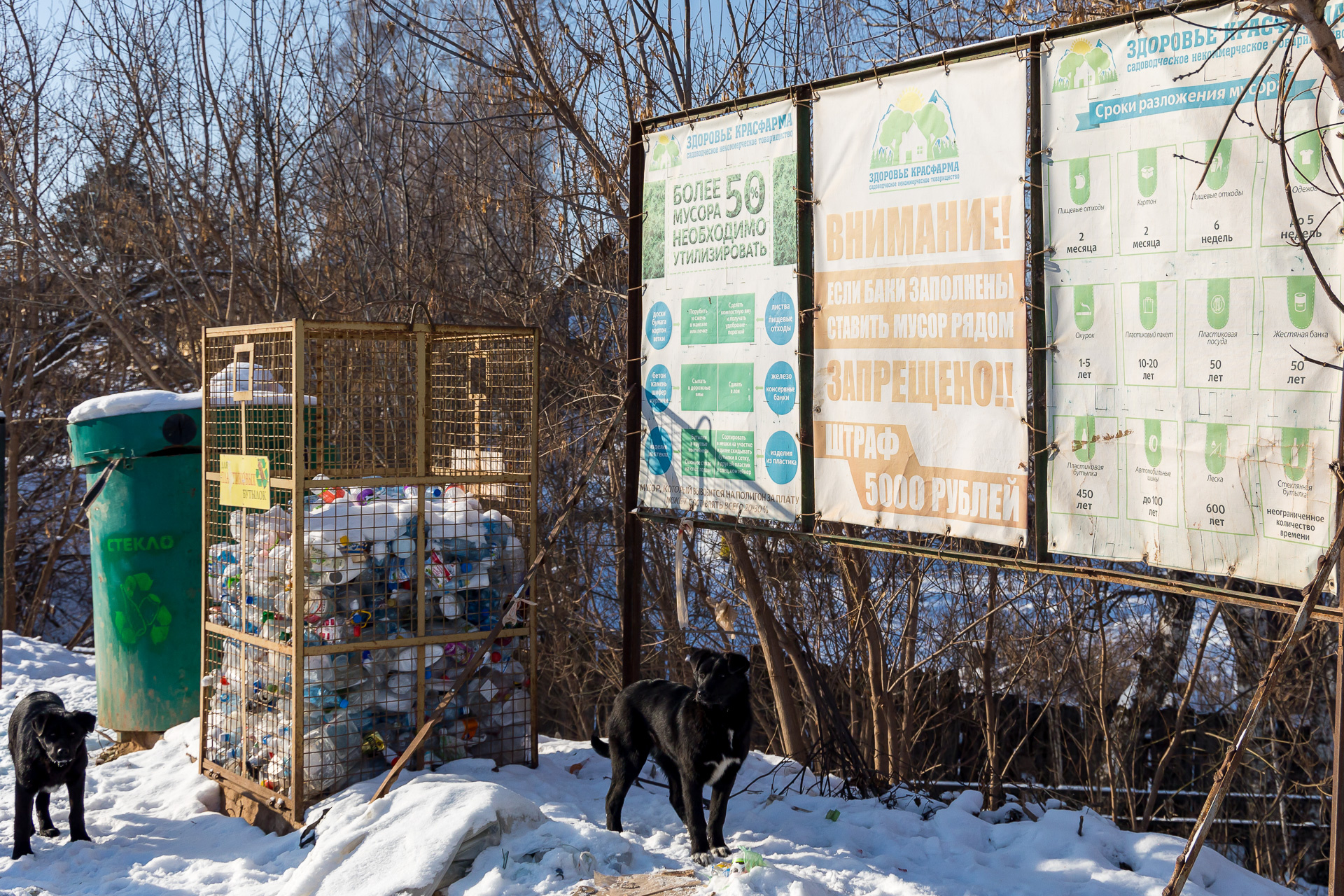 В зимний период мусор из СНТ не вывозят, даже баки с площадки убирают, чтобы люди не кидали мусор. Остаются только контейнеры для раздельного сбора